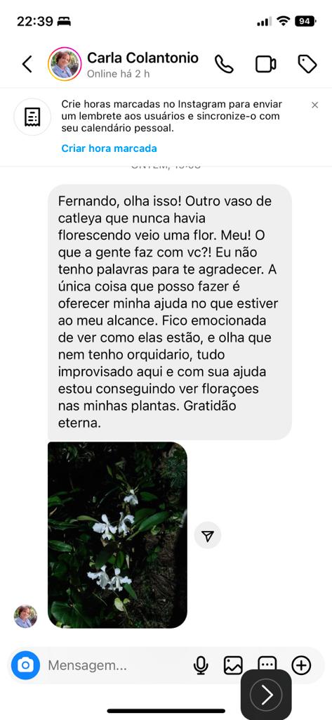 DEPOIMENTO CARLINHA