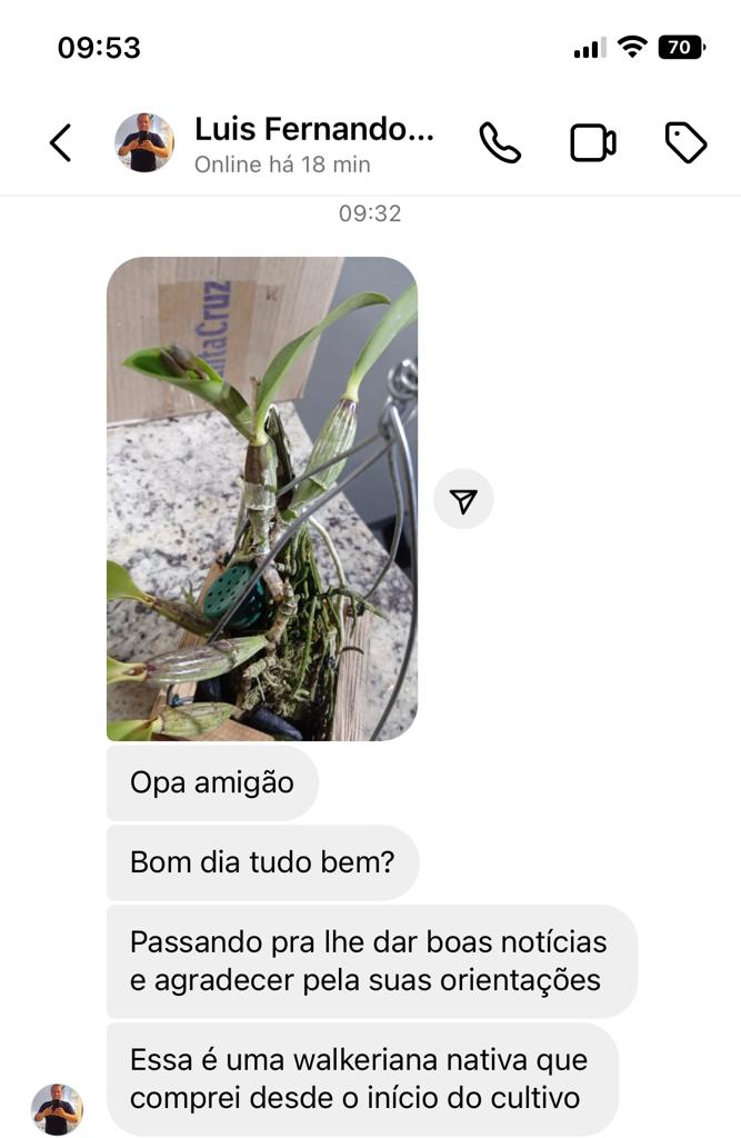 DEPOIMENTO LUIZ FERNANDO