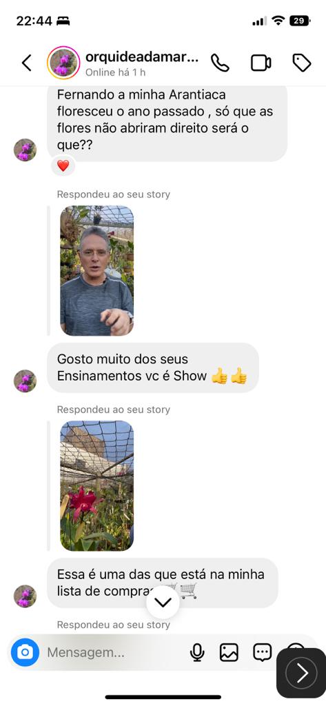 DEPOIMENTO MARTHA
