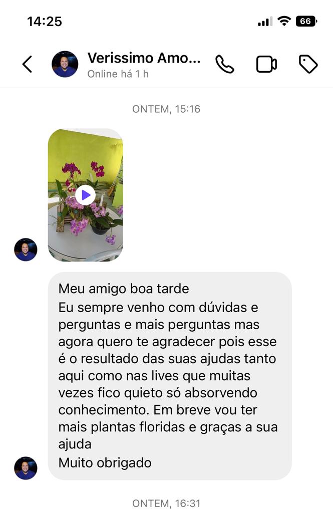 DEPOIMENTO VERISSIMO 2