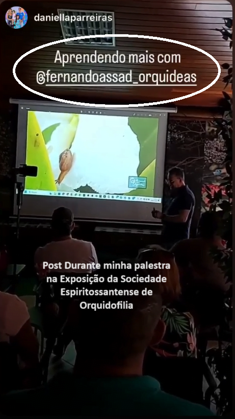 Comentário da Daniela Parreira