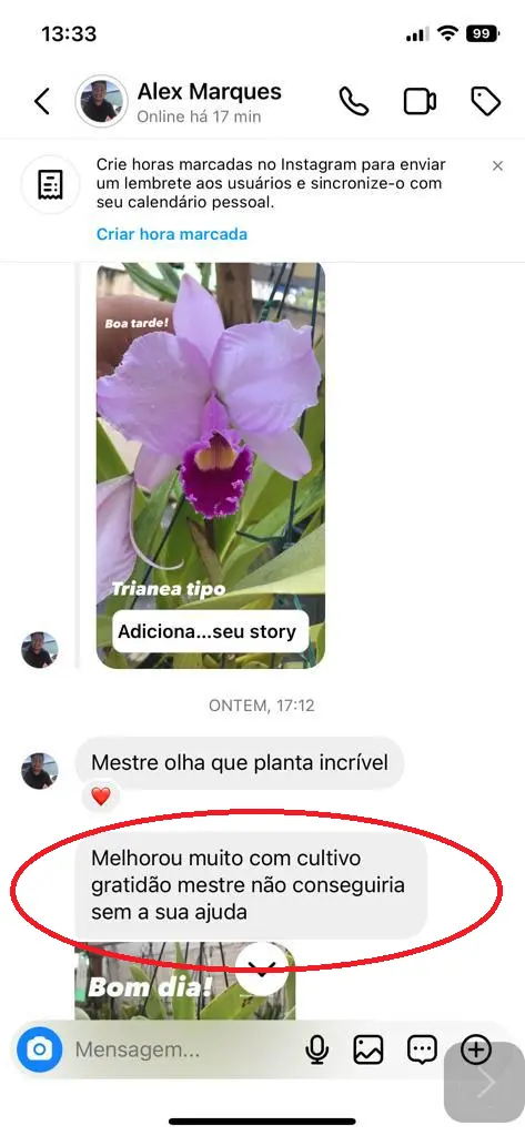TRATADA DEPOIMENTO ALEX MARQUES1