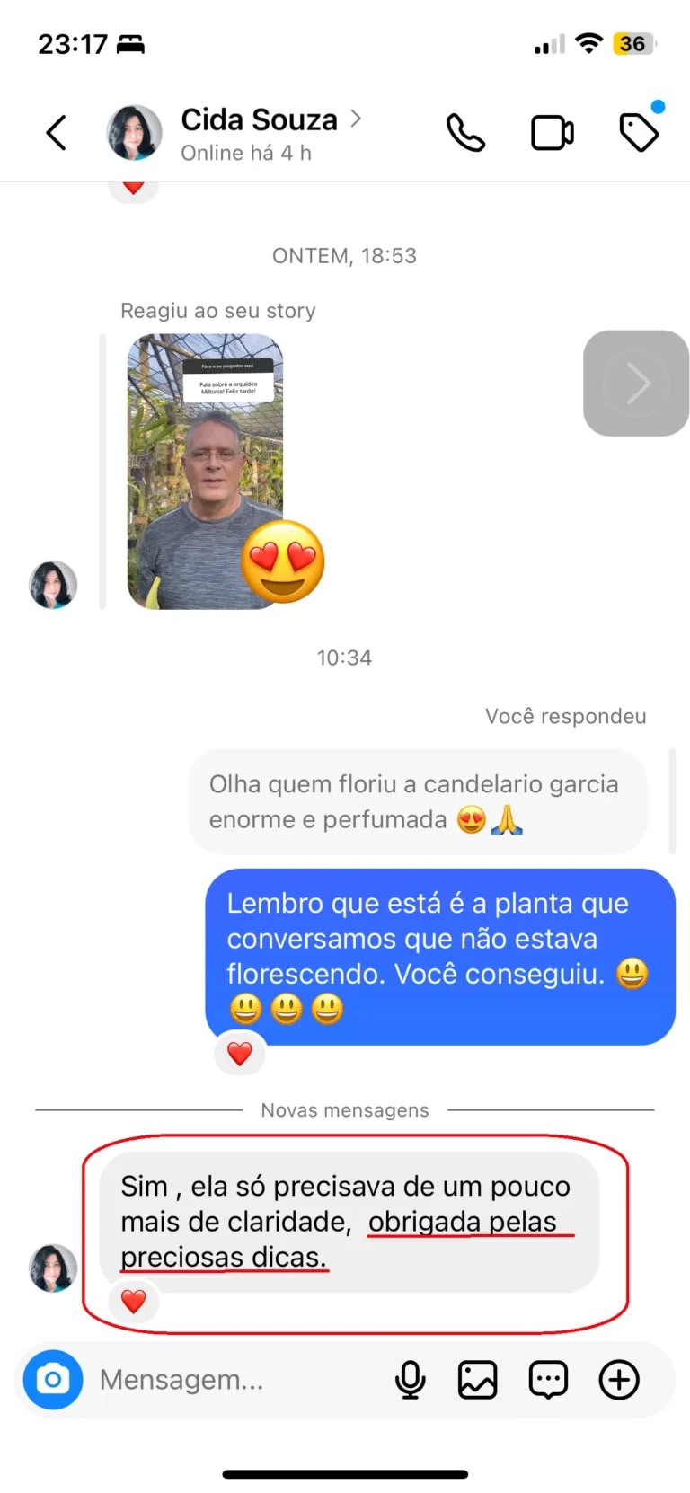 DEPOIMENTO CIDA editado