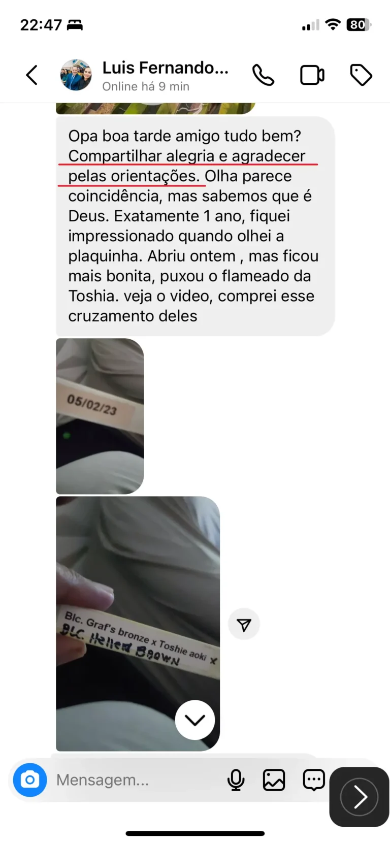 DEPOIMENTO Luis Fernando editado
