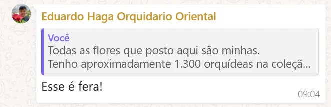 Elogio do Eduardo Haga do Orquidário Oriental