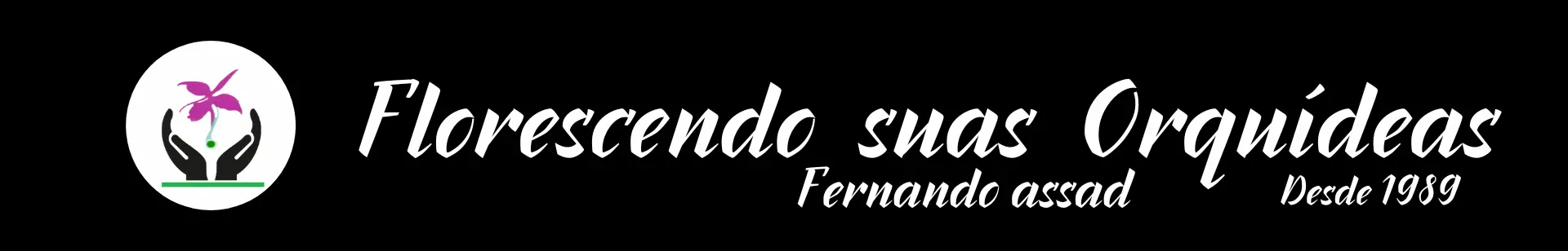 Logotipo Beleza Delicado Rose Gold (1135 x 308 px) (1920 x 308 px) (1)