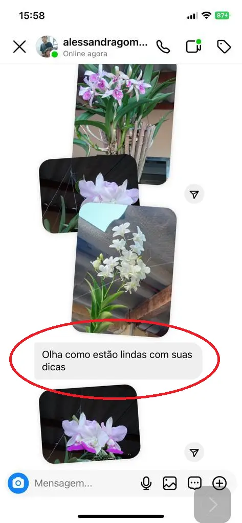 TRATADA DEPOIMENTO ALESSANDRA (1)