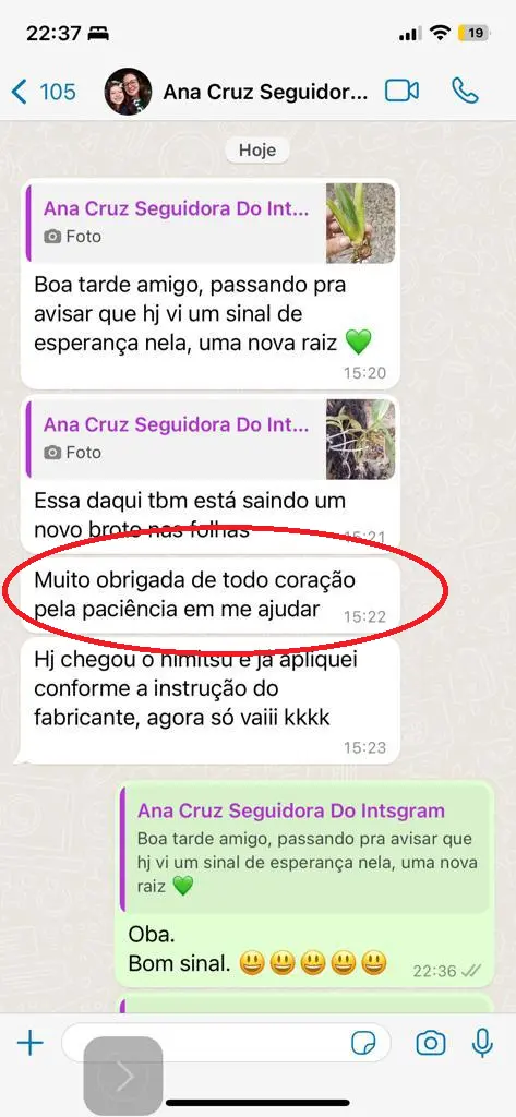 TRATADA DEPOIMENTO ANA CRUZ (1)