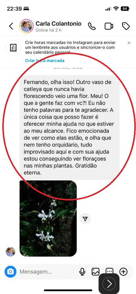 TRATADA-DEPOIMENTO-CARLINHA-1