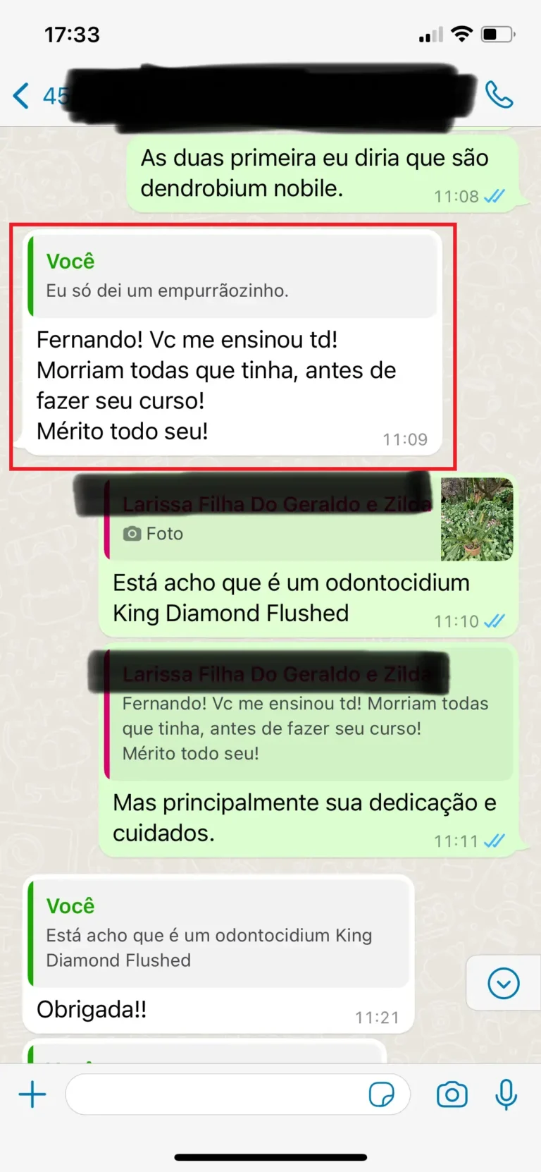 Arquivo_000 (1)