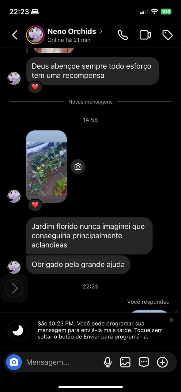 ELOGIO 01