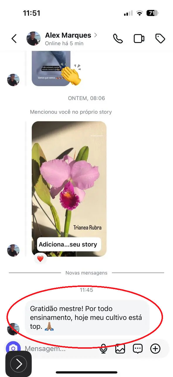 depoimento do alex do rio de janeiro